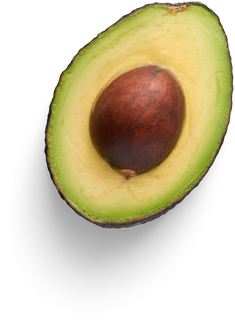 Isolated Cutout PNG