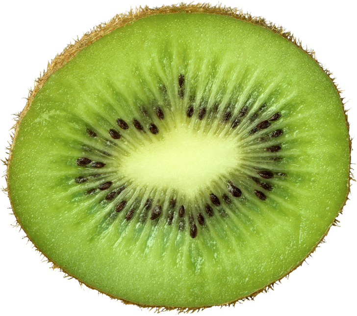 Half Slice of Fresh Kiwi